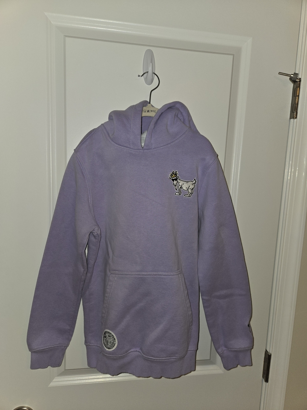 GOAT Hoodie Sweatshirt, Light Purple, Yourh Side Medium
